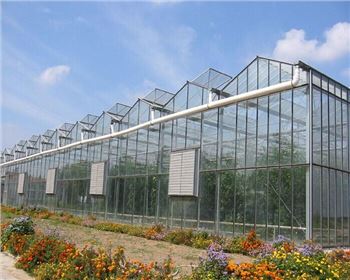 寧夏新型溫室大棚