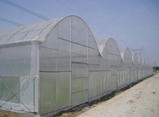 西安溫室大棚建設(shè)