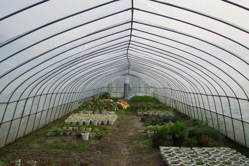 陜西鍍鋅大棚管