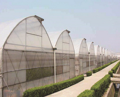 陜西復(fù)合型溫室大棚