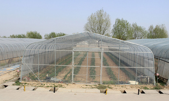 陜西溫室大棚