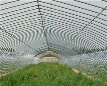 復(fù)合型大棚有什么特點(diǎn)?