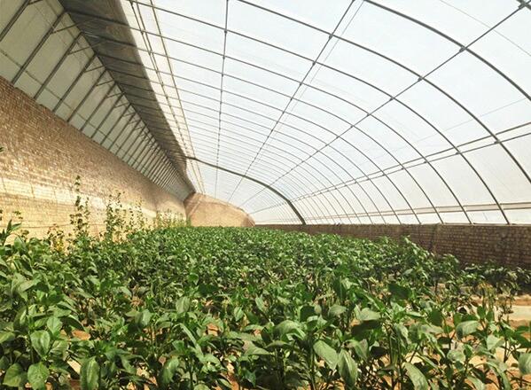陜西溫室大棚建設(shè)